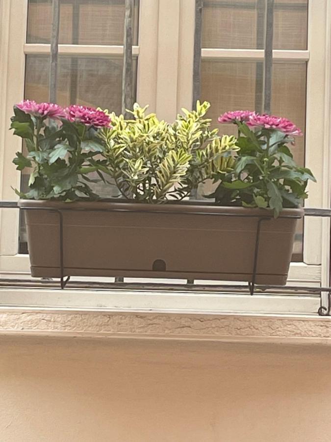 Cuor Di Mantova B&B Zewnętrze zdjęcie